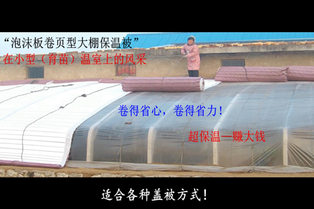 青島風全溫室配套有限公司